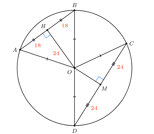 Окружность с хордами
